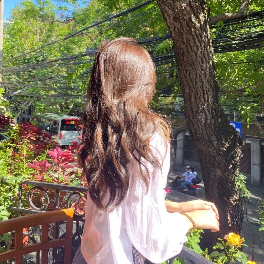 宝影花痕 海报